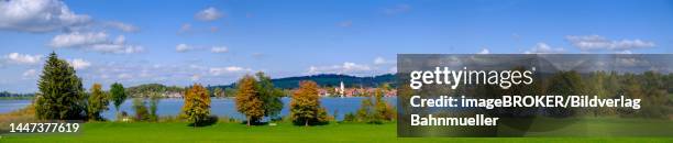 riegsee, pfaffenwinkel, upper bavaria, bavaria, germany - lake riegsee stock pictures, royalty-free photos & images