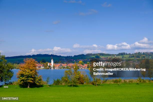 riegsee, pfaffenwinkel, upper bavaria, bavaria, germany - lake riegsee stock pictures, royalty-free photos & images