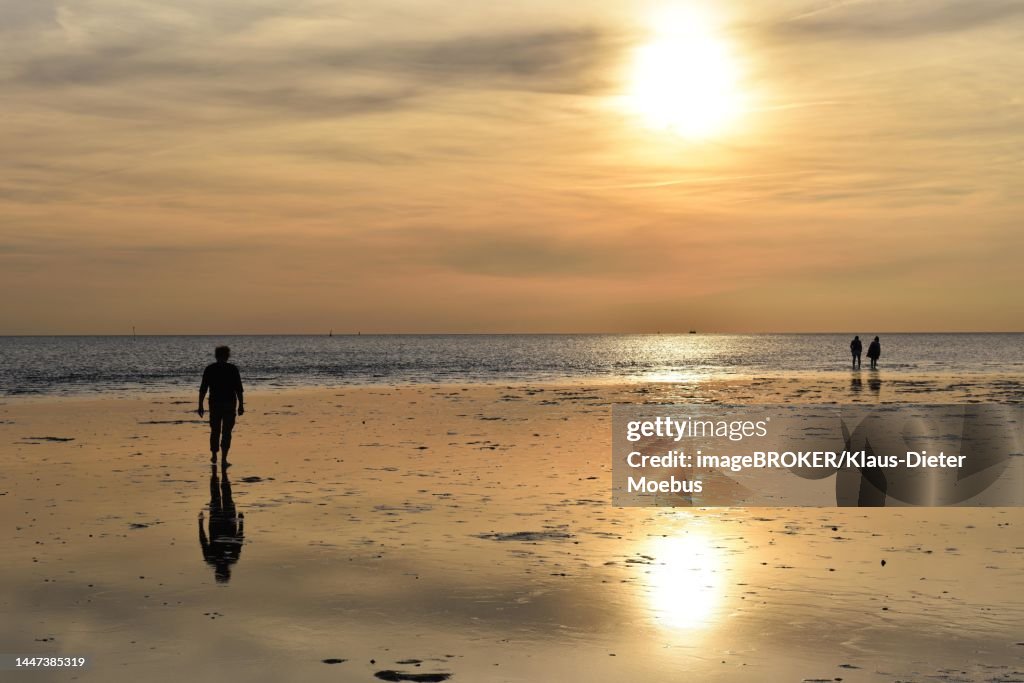 People walking on the mudflats at sunset on the North Sea, Schleswig-Holstein, Germany