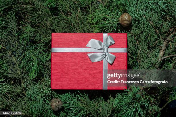 red gift box on evergreen plant tree branches - evergreen forest stock-fotos und bilder