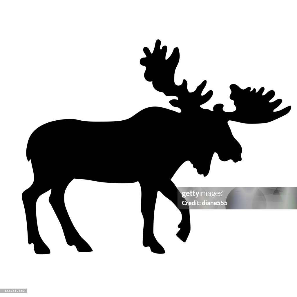 Black Moose Silhouette