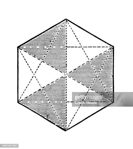 antique engraving illustration: flowerbed shapes, hexagon - antique garden tools stock illustrations