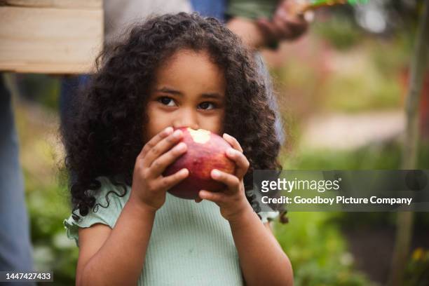 süßes kleines mädchen, das draußen im garten ihrer familie einen apfel isst - child holding apples stock-fotos und bilder