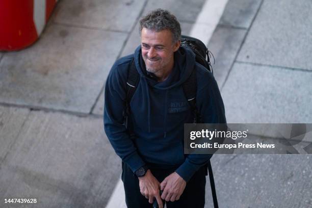 The national soccer coach, Luis Enrique Martinez, on his arrival at the T-4 terminal of the Adolfo Suarez Madrid-Barajas Airport, on December 7 in...