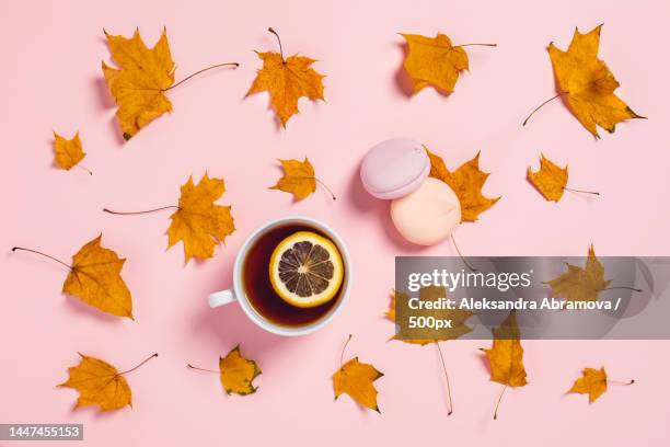 cozy autumn composition tea cup with slices of lemon and maple leaves,breda,netherlands - cranberry heart stock-fotos und bilder