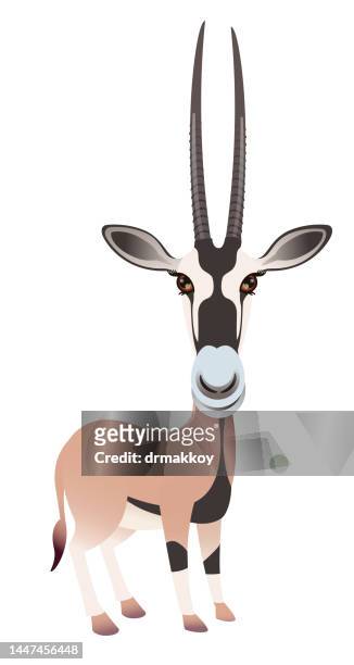 arabische oryx - arabian oryx stock-grafiken, -clipart, -cartoons und -symbole