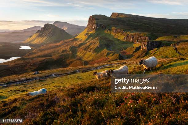 autumn in the isle of skye - quiraing - isle of skye foto e immagini stock