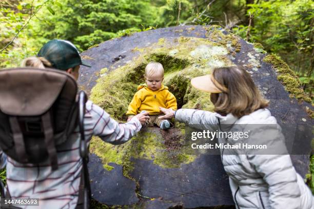 a mother and grandmother hold a young baby in the middle of a fallen log while hiking in a forest. - tillamook county stock pictures, royalty-free photos & images