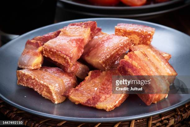 closeup takes of spanish torreznos de cerdo fritos (fried pork rashers) in a grey porcelain dish - lard stock pictures, royalty-free photos & images