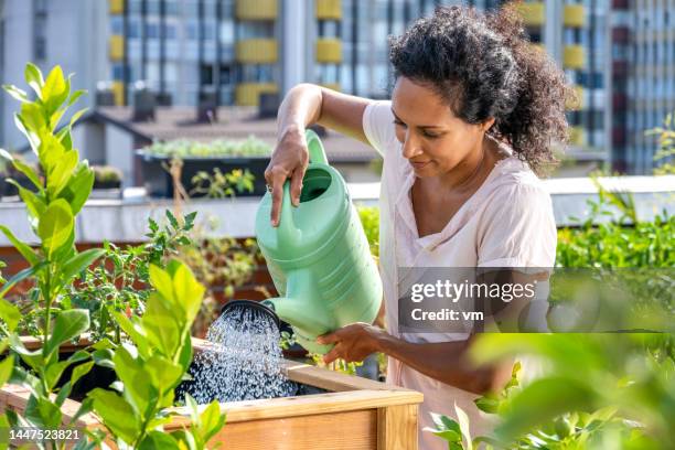 woman watering her plants on the rooftop terrace garden - balcony stockfoto's en -beelden