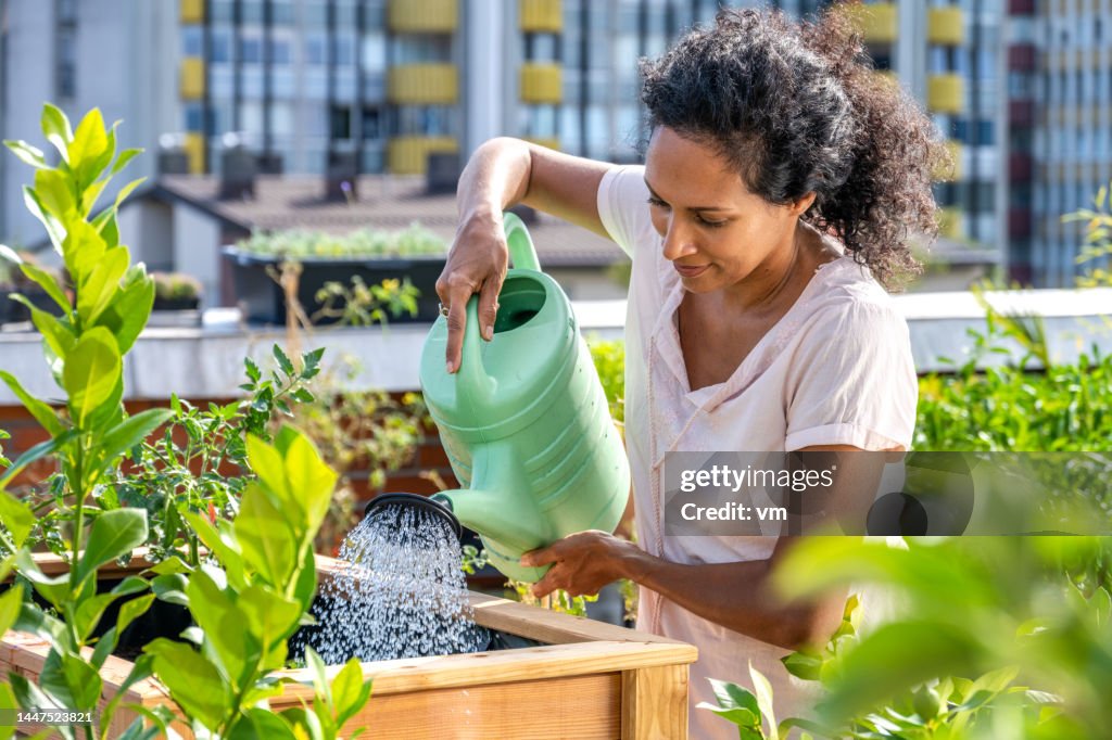 Woman watering her plants on the rooftop terrace garden