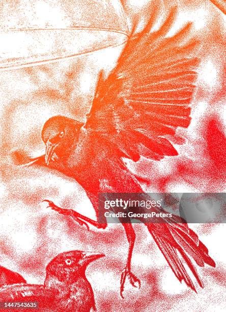 grackles at bird feeder - red feather texture stock illustrations