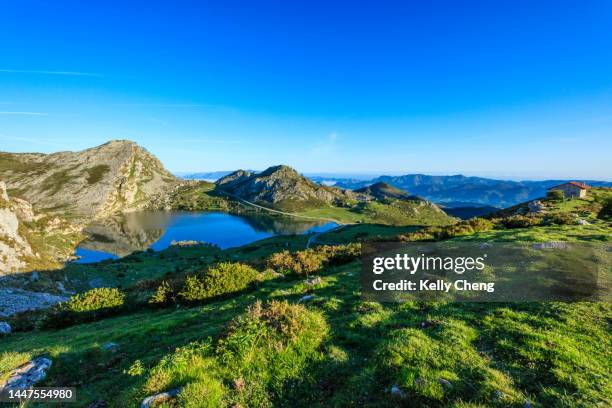 lakes of covadonga, spain - picos de europa fotografías e imágenes de stock