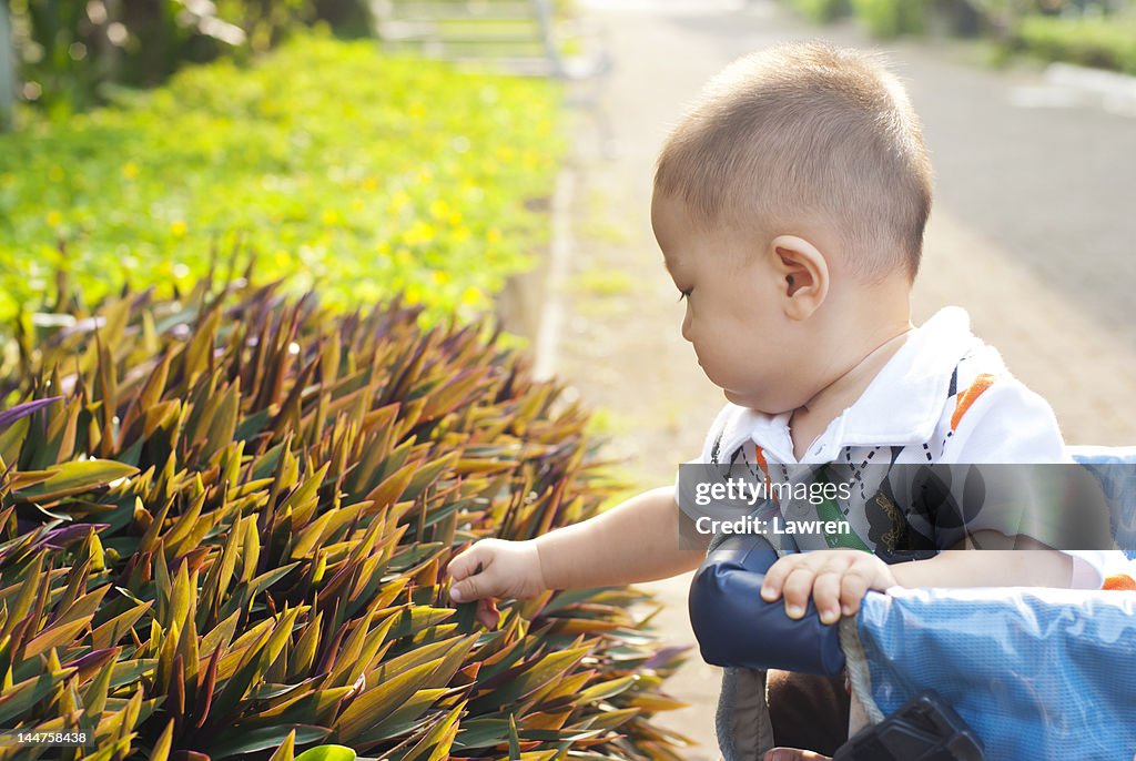 Baby is touching plant in garden