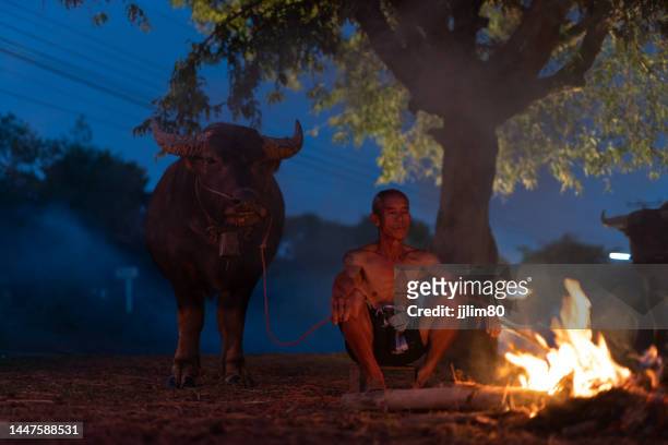 asiatisches dorf-lifestyle-konzept von thailand, ein büffelzüchter, der feuer macht, um sich mit seinem büffel während einer kalten winternebelnacht in sakon nakhon, nordostthailand, zu halten, isan lebensweise. - wasserbüffel stock-fotos und bilder