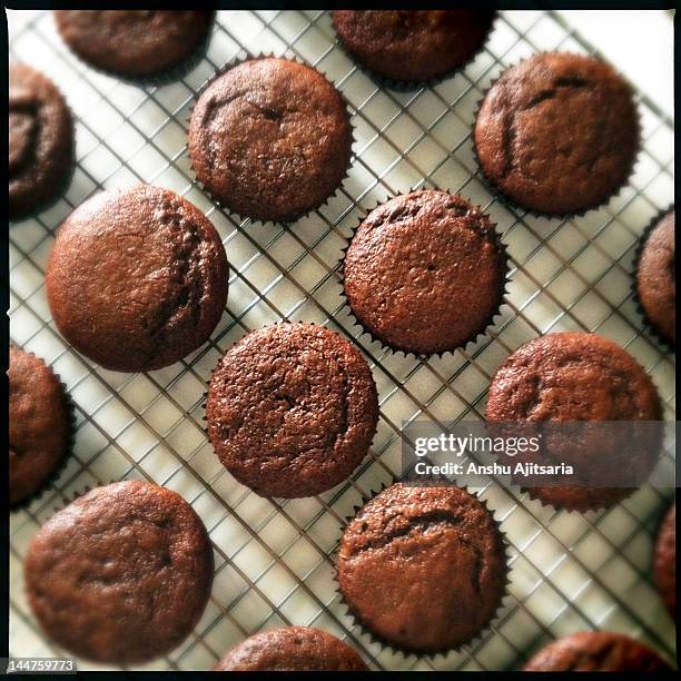 chocolate cupcakes - kyltråg bildbanksfoton och bilder