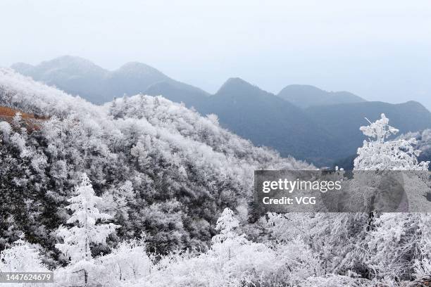 Rime-covered trees are seen in winter on December 2, 2022 in Chongqing, China.