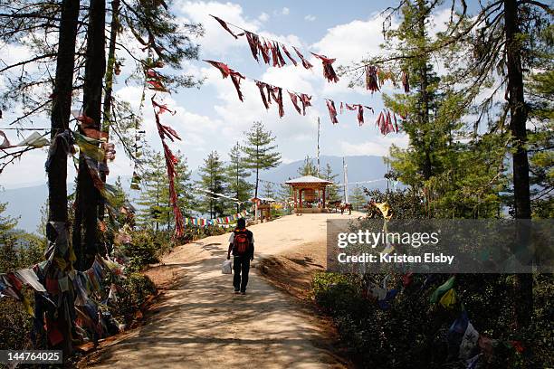 taktsang palphug - paro stock pictures, royalty-free photos & images