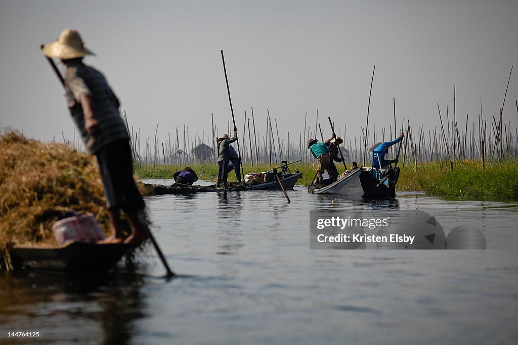 Farming on Inle lake