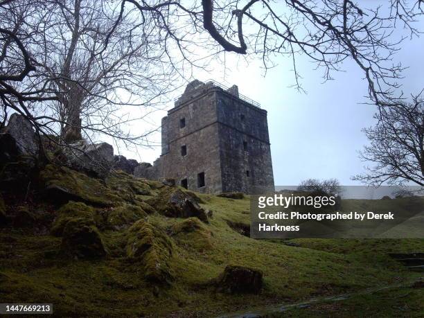 carnasserie castle in argyle scotland - diamond pattern stock pictures, royalty-free photos & images