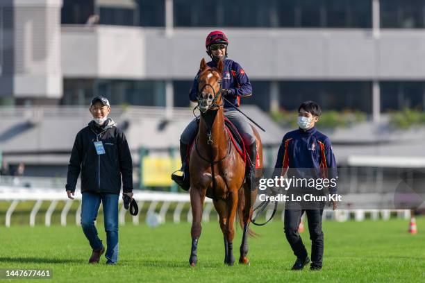 December 8 : Japanese runner Geoglyph at Sha Tin Racecourse on December 8, 2022 in Hong Kong.