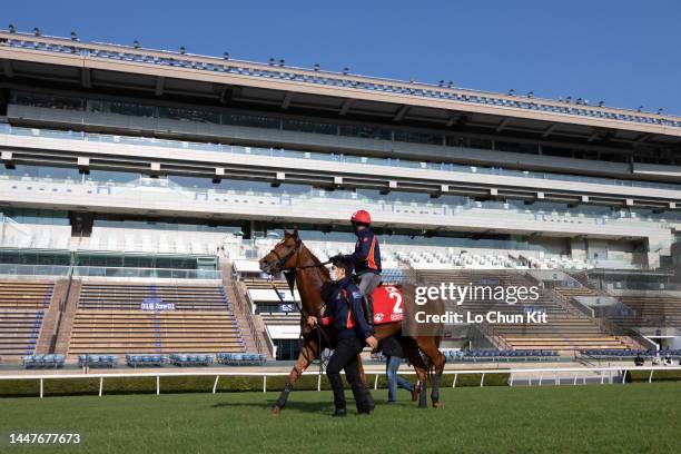 December 8 : Japanese runner Geoglyph at Sha Tin Racecourse on December 8, 2022 in Hong Kong.