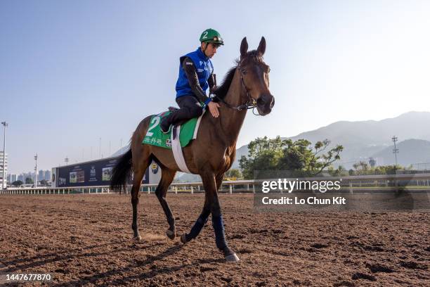 December 8 : Botanik at Sha Tin Racecourse on December 8, 2022 in Hong Kong.