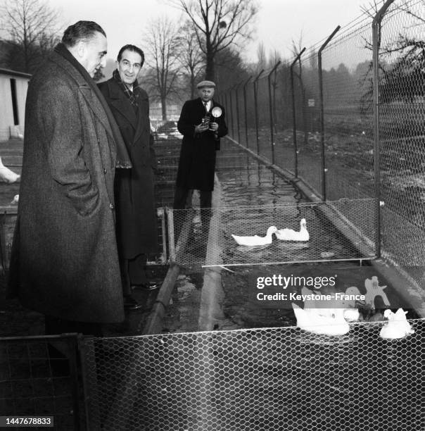 Louis Jacquinot Photos and Premium High Res Pictures Getty Images