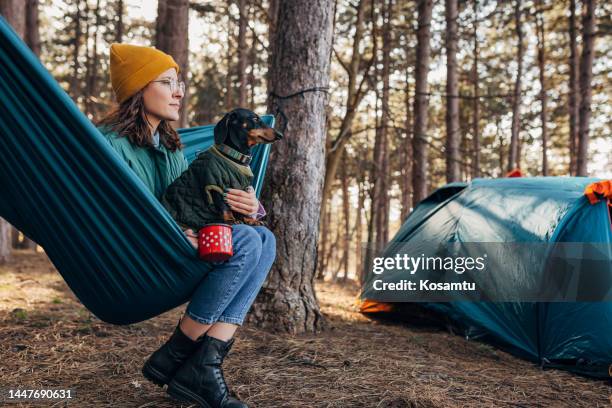 lovely woman sitting on a hammock holding her cuddly dog ​​in her lap - hammock camping stock pictures, royalty-free photos & images