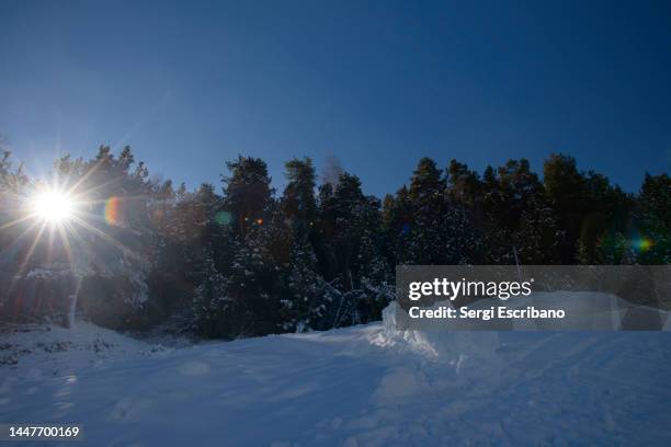 french eastern pyrenees - korktanne stock-fotos und bilder