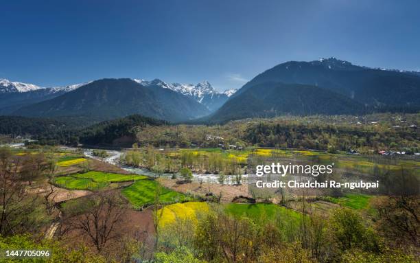 landscape view of rice field with village and snow mountain at pahalgam kashmir, india. - kashmir stock-fotos und bilder