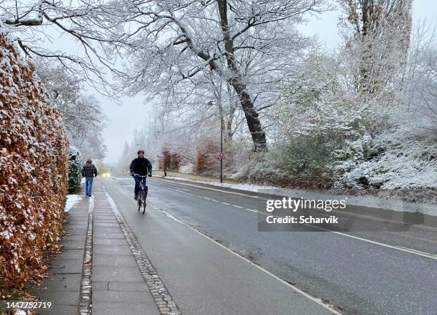 woman cucling on bicycle lane in december - snow melting on sidewalk stock pictures, royalty-free photos & images