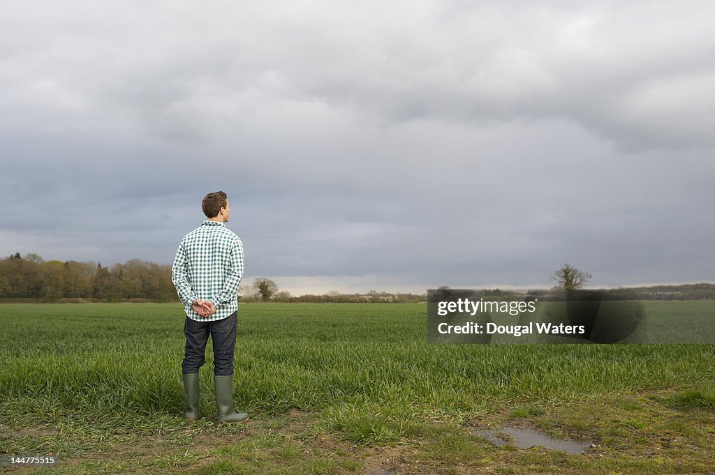 Farmer at edge of field looking across land.