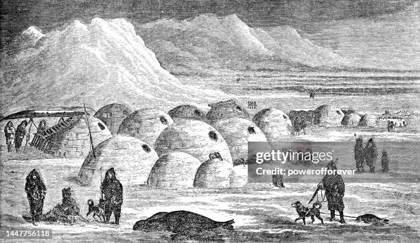 inuit igloo winter village on baffin island, canada - 19th century - inuit people stock illustrations