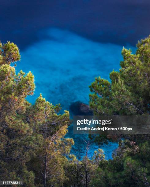 high angle view of trees by sea against sky,makarska,croatia - マカルスカ ストックフォトと画像