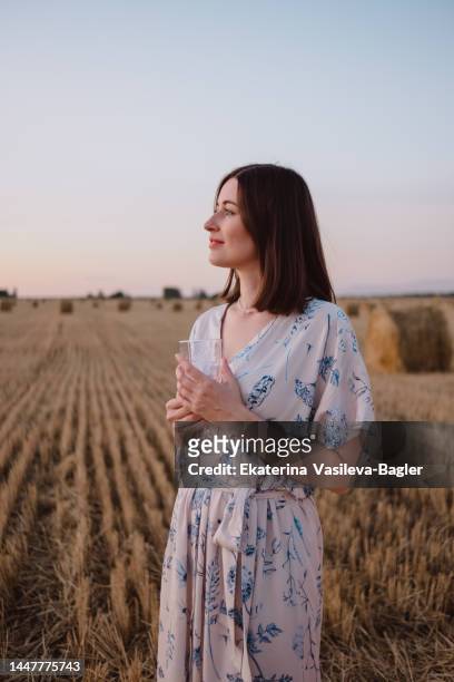 portrait of a girl with a glass of wine in a field at sunset - rostov on don stock pictures, royalty-free photos & images