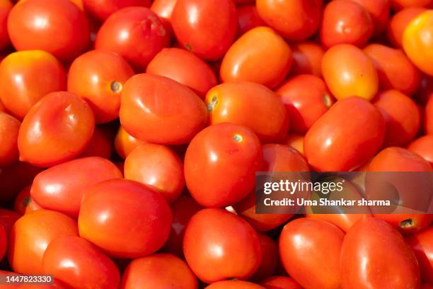 full frame shot of tomatoes for sale at market - tomato stock pictures, royalty-free photos & images