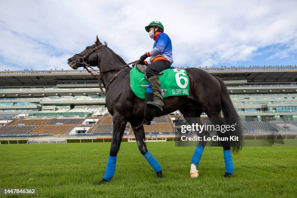 December 7 : Japanese runner Glory Vase exercises at Sha Tin Racecourse at Sha Tin Racecourse on December 7, 2022 in Hong Kong.