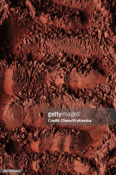 cocoa powder details texture - polvo de cacao fotografías e imágenes de stock