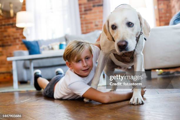 Lab Cuddle 2,107 Lab Floor Stock Photos, High-Res Pictures, and Images - Getty Images