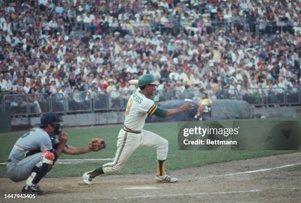 American baseball player Jerry Grote behind Cuban-American baseball player Bert Campaneris during an 1973 World Series match between the Oakland...