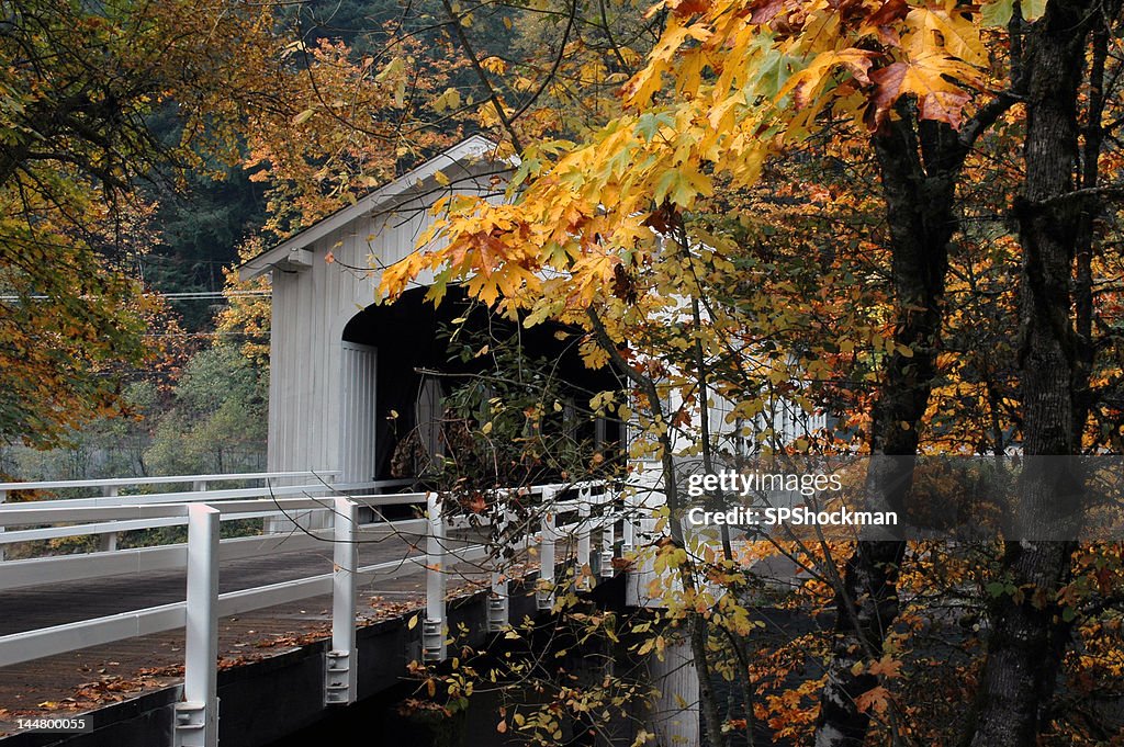 Goodpasture Bridge