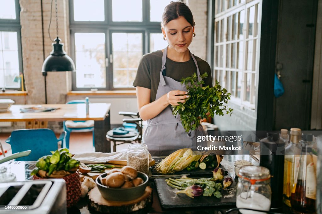 Female chef wearing apron doing quality check of cilantro standing in studio kitchen