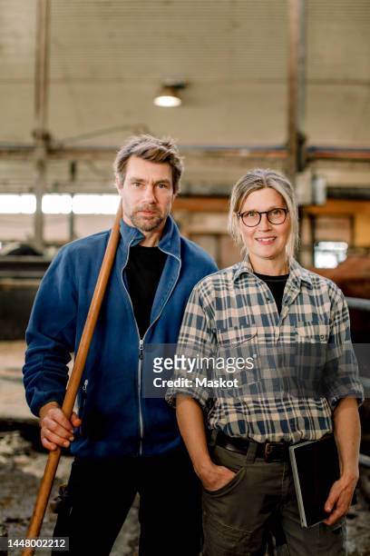 smiling mature farmers standing together at cattle farm - business mature couple portrait bildbanksfoton och bilder