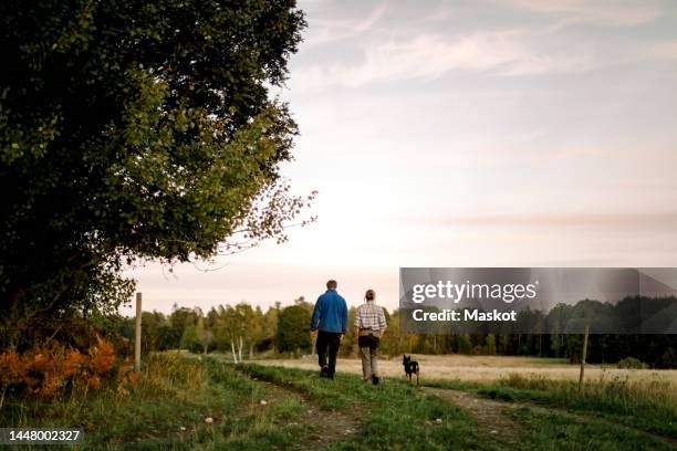 rear view of couple with dog walking on field at sunset - vignette stock pictures, royalty-free photos & images
