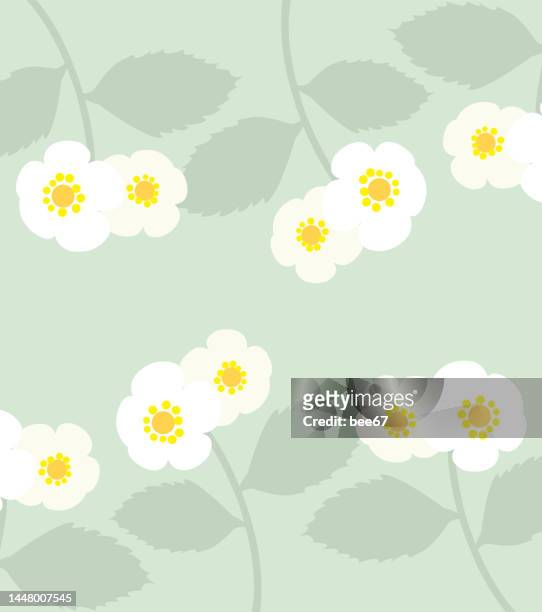vector seamless pattern with strawberry flowers. - strawberry blossom stock illustrations