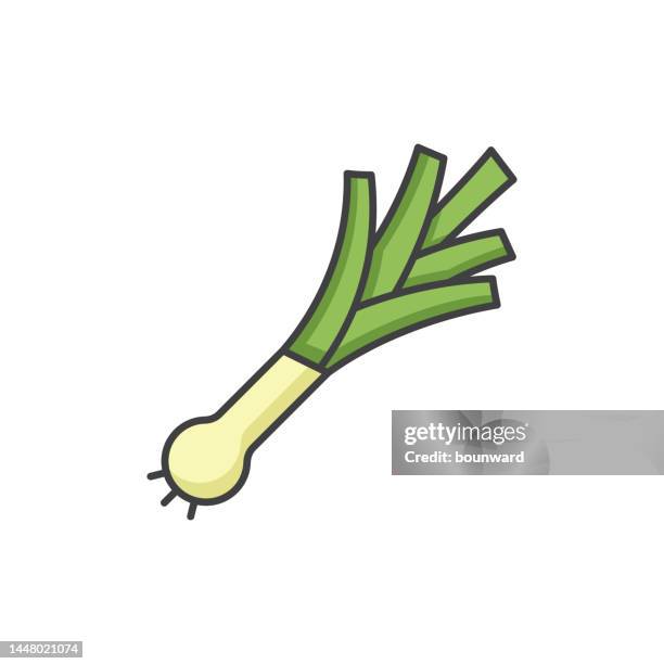 leek color line icon. editable stroke. - spring onion stock illustrations