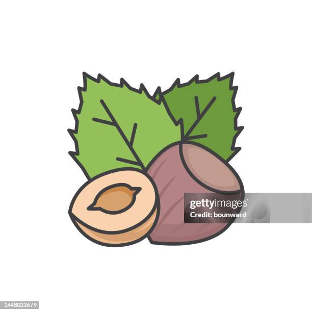 hazelnut color line icon. editable stroke. - hazelnut stock illustrations