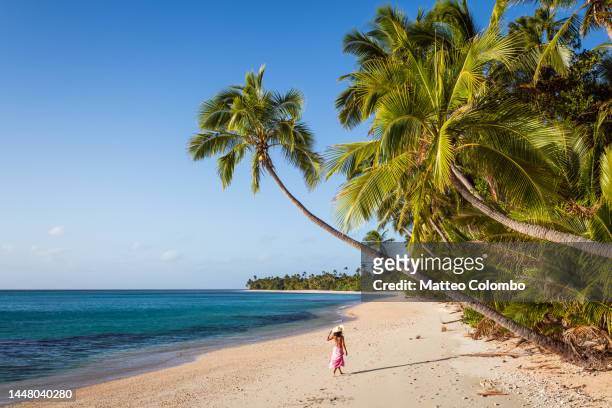 woman walking on exotic beach with palm trees, fiji - südsee stock-fotos und bilder