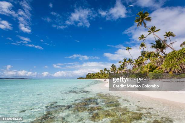 beach in the lagoon of aitutaki, cook islands - desert island stock pictures, royalty-free photos & images